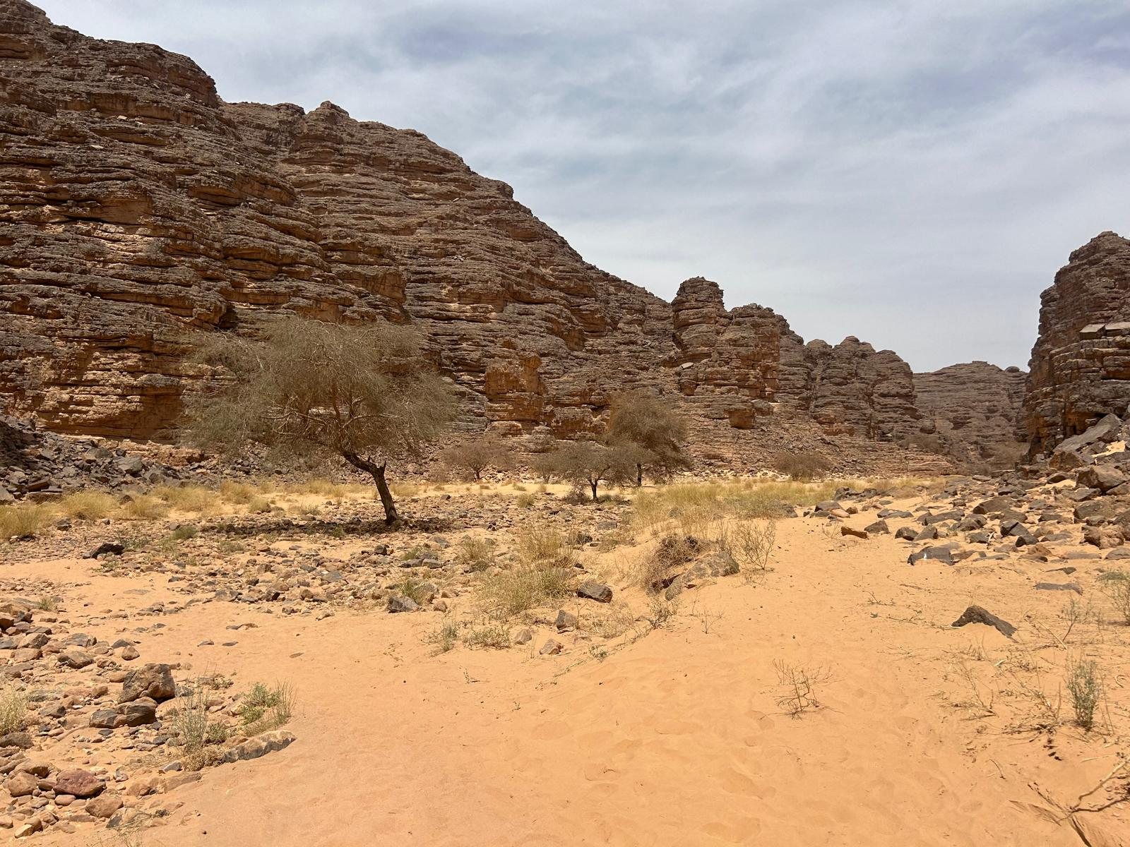 An open desert valley under sandstone cliffs