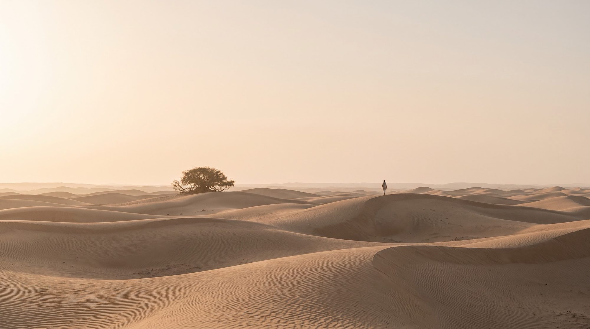 A walker on the dunes beside a lone sidr tree